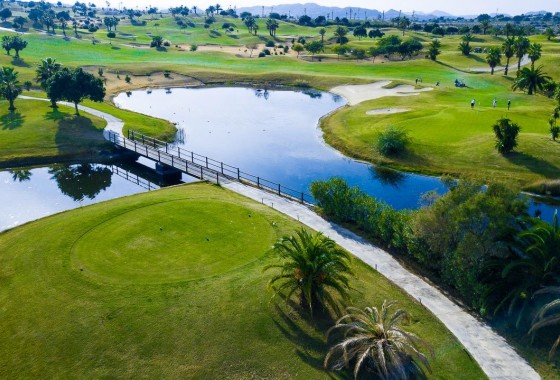 Obra nueva - Chalet - Orihuela Costa - Vistabella Golf