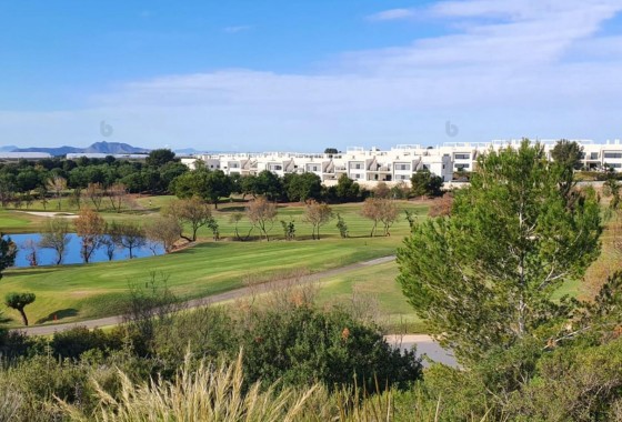 New Build - Detached Villa - Pilar de la Horadada - Lo Romero Golf