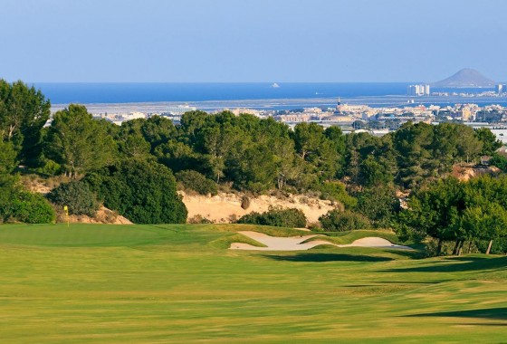 Obra nueva - Chalet - Pilar de la Horadada - Lo Romero Golf