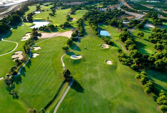 Obra nueva - Chalet - Pilar de la Horadada - Lo Romero Golf