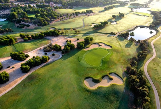 Obra nueva - Chalet - Pilar de la Horadada - Lo Romero Golf