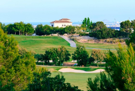 Obra nueva - Chalet - Pilar de la Horadada - Lo Romero Golf