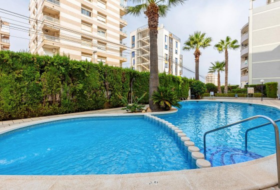 Resale - Penthouse - Torrevieja - Nueva Torrevieja