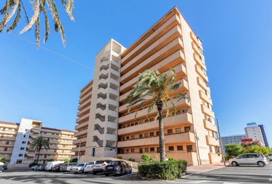 Segunda Mano - Apartamento - Torrevieja - Cabo cervera