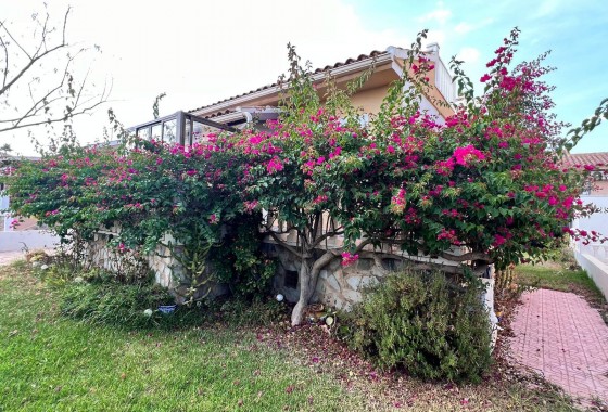 Resale - Detached Villa - Orihuela Costa - Punta Prima