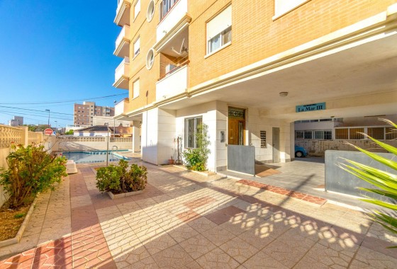 Segunda Mano - Apartamento - Torrevieja - Calas blanca