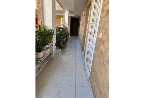 Revente - Appartement - Torrevieja - torrevieja