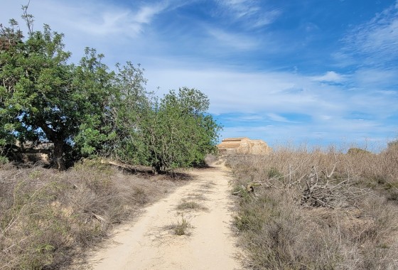 Segunda Mano - Finca / Country Property - San Miguel de Salinas