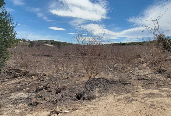 Segunda Mano - Finca / Country Property - San Miguel de Salinas