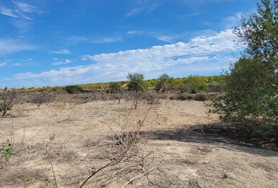 Segunda Mano - Finca / Country Property - San Miguel de Salinas