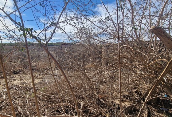 Segunda Mano - Finca / Country Property - San Miguel de Salinas