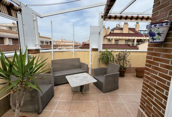 Segunda Mano - Apartamento - Torrevieja