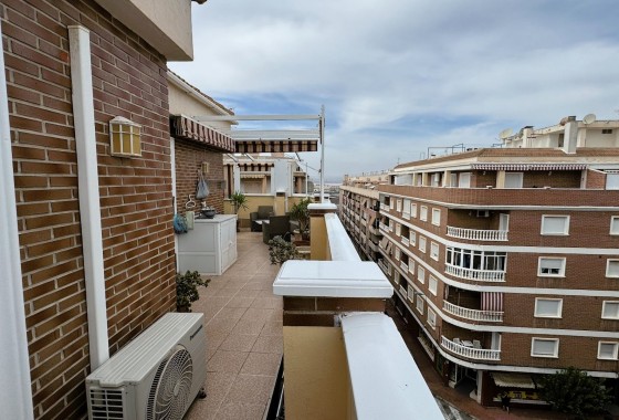 Segunda Mano - Apartamento - Torrevieja