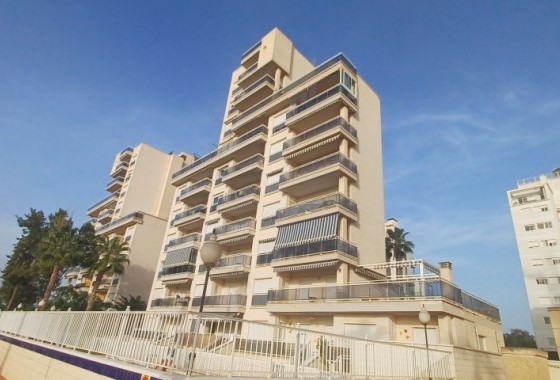 Resale - Apartment - Guardamar del Segura - guardamar del segura