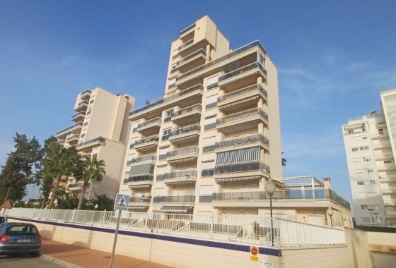 Resale - Apartment - Guardamar del Segura - guardamar del segura