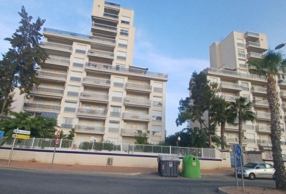 Resale - Apartment - Guardamar del Segura - guardamar del segura