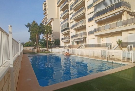 Resale - Apartment - Guardamar del Segura - guardamar del segura