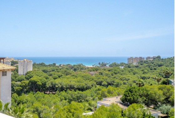 Segunda Mano - Ático - Orihuela Costa - Campoamor