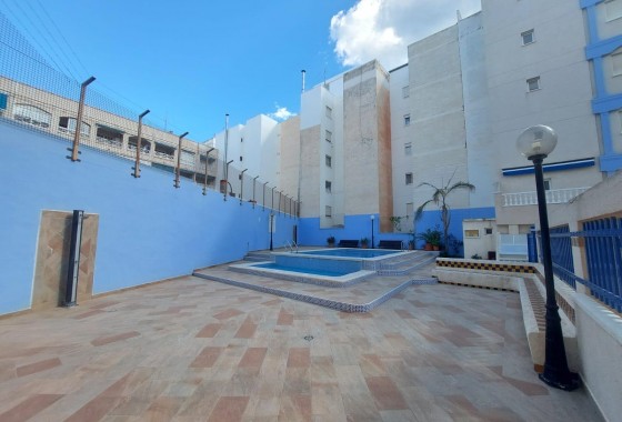 Segunda Mano - Apartamento - Torrevieja - Playa de los Locos