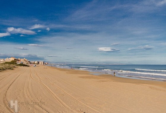 Obra nueva - Ático - La Mata - Torrevieja