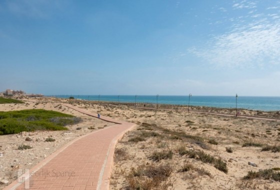 Obra nueva - Ático - La Mata - Torrevieja