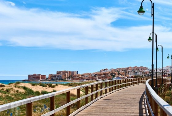 Obra nueva - Ático - La Mata - Torrevieja