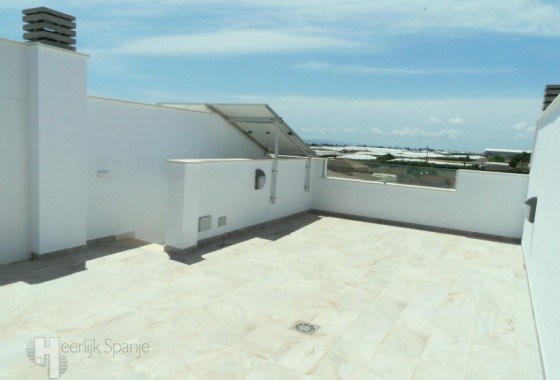 Nouvelle construction - Villa - Alicante - Pilar de la Horadada