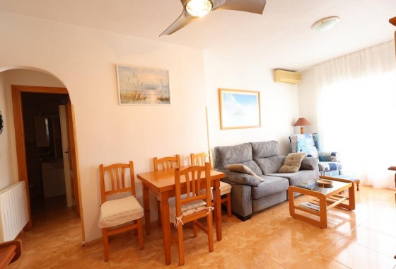 Segunda Mano - Apartamento - Torrevieja - Acequion