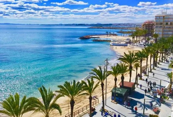 Obra nueva - Ático - Torrevieja - Playa del Cura