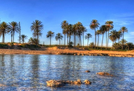 Obra nueva - Ático - Torrevieja - Playa del Cura