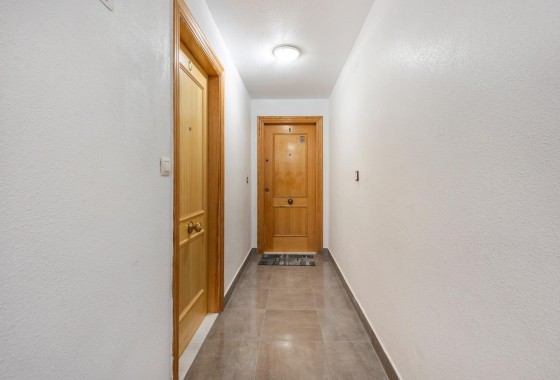 Segunda Mano - Apartamento - Torrevieja - Nueva Torrevieja