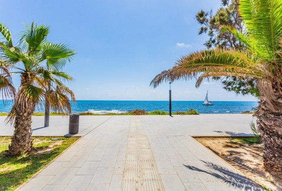 Segunda Mano - Ático - Torrevieja - Playa del cura