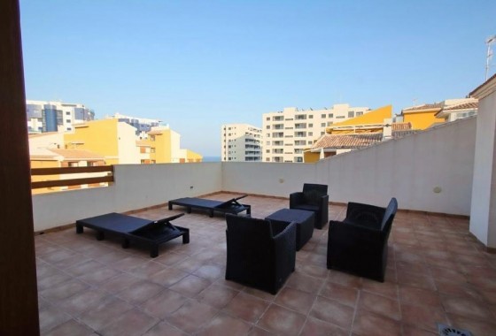 Segunda Mano - Apartamento - Torrevieja - Punta prima