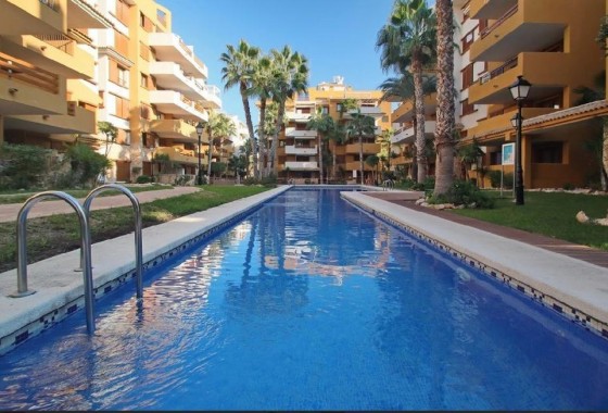 Segunda Mano - Apartamento - Torrevieja - Punta prima