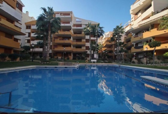 Segunda Mano - Apartamento - Torrevieja - Punta prima