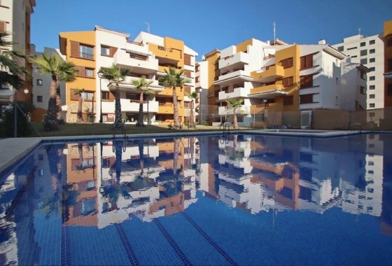 Segunda Mano - Apartamento - Torrevieja - Punta prima