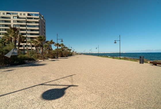 Segunda Mano - Ático - Torrevieja - Punta prima