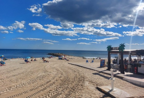 Segunda Mano - Apartamento - Torrevieja - Playa de los Locos