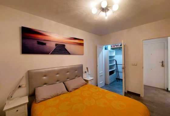 Segunda Mano - Apartamento - Torrevieja - Paseo maritimo