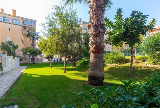 Revente - Appartement - Torrevieja - Torreblanca