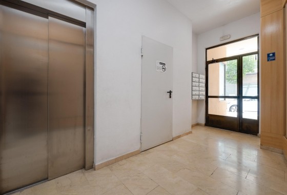 Revente - Appartement - Torrevieja - torrevieja
