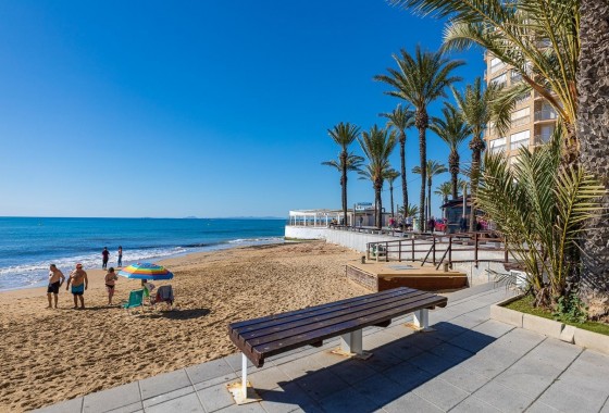 Revente - Appartement - Torrevieja - torrevieja
