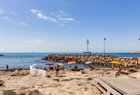 Revente - Appartement - Torrevieja - torrevieja