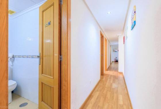 Revente - Appartement - Torrevieja - torrevieja