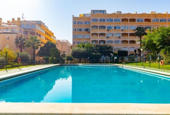 Revente - Penthouse - Torrevieja - Torreblanca