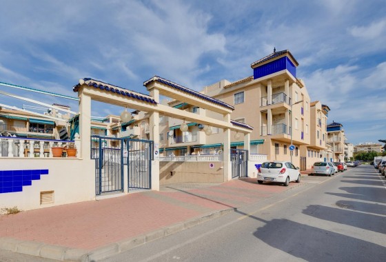 Revente - Appartement - Torrevieja - Acequion