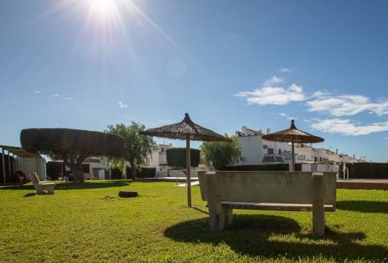 Segunda Mano - Adosado - Torrevieja - Jardin Del Mar