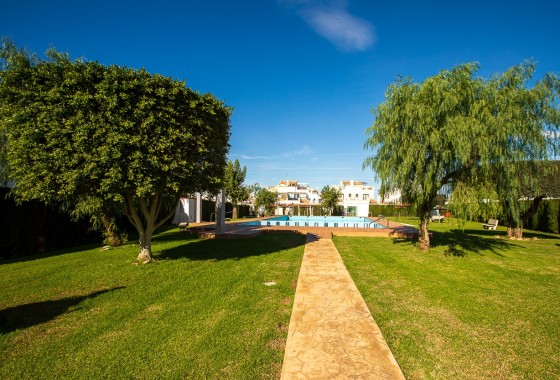 Segunda Mano - Adosado - Torrevieja - Jardin Del Mar