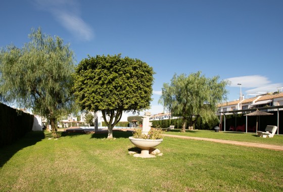 Segunda Mano - Adosado - Torrevieja - Jardin Del Mar