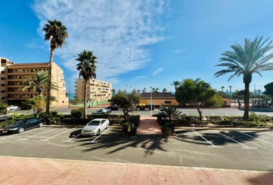 Segunda Mano - Apartamento - Torrevieja - Cabo cervera